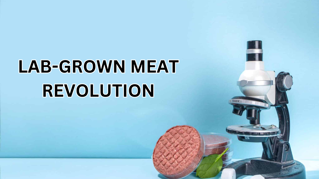 Lab-Grown Meat Revolution: